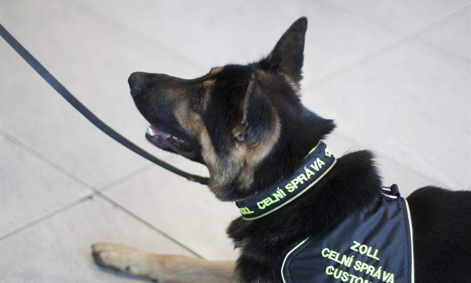 2016-8-25-1140foto 5.jpg